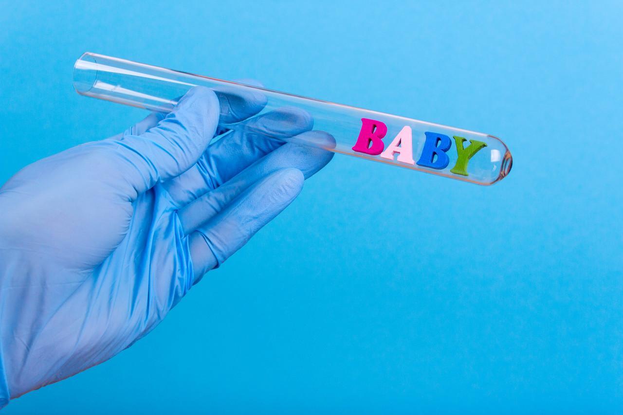 2019年生男生女预测表与性别决定科学原理分析